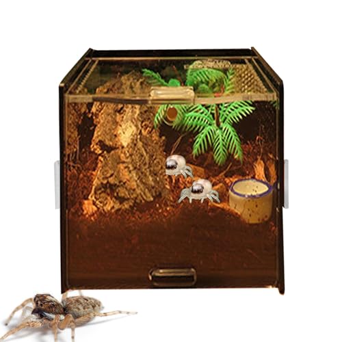 Reptilienbecken, Reptiliengehege,Klarsichtbox aus Acryl für Wirbellose | Wirbelloses Reptilienzucht-Tanktop mit Öffnung für Gecko-Eidechsen-Schlangen-Lebensraumtank Reptilienbecken, Reptiliengehege,Klarsichtbox aus Acryl für Wirbellose | Wirbelloses Reptilienzucht-Tanktop mit Öffnung für Gecko-Eidechsen-Schlangen-Lebensraumtank von Generisch