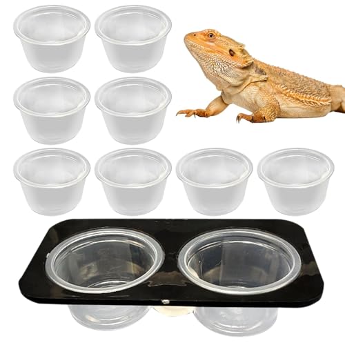 Reptilienwassergericht, Reptilienfuttergericht - Echsenfutterfuttermittel Crested Water Bowl - Abnehmbare Fütterungsgericht mit Tassen Platz sparter Tankzubehör für Schildkröte & Box von Generisch