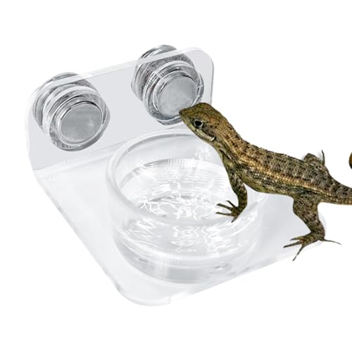 Reptilienwasserschale - Gecko Feeder Ledge | Wasserschale | Schlangenwasserschale | Einfache Installation Reptile -Fütterungsstation Für Eidechsen, Chamäleons, Baumfrösche von Generisch