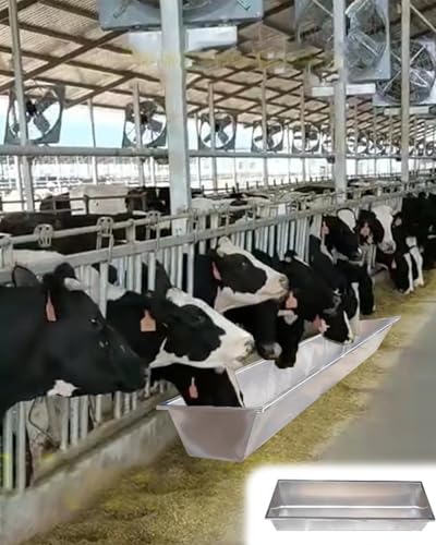 Robuster Futterspender und Wassertrog aus Edelstahl für Rinder, Schweine, Pferde, Schafe und Geflügel – langlebige Futterausrüstung für Bauernhoftiere mit Ständer von Generisch