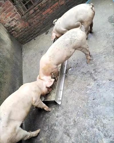Robuster Futtertrog für Nutztiere, große Kapazität, langlebige Futterausrüstung für Pferde, Schafe, Ziegen, Alpakas und Geflügel, geeignet für den Innen- und Außenbereich Robuster Futtertrog für Nutztiere, große Kapazität, langlebige Futterausrüstung für Pferde, Schafe, Ziegen, Alpakas und Geflügel, geeignet für den Innen- und Außenbereich von Generisch