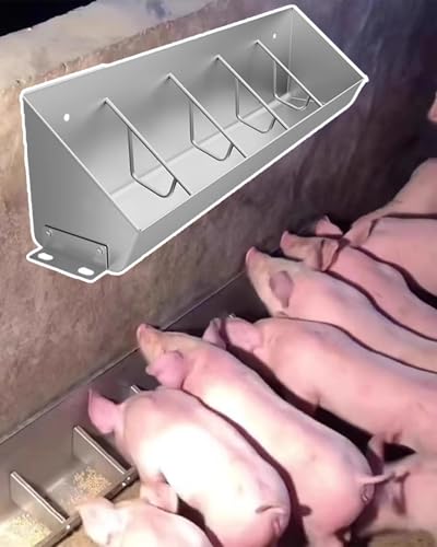 Robuster Futtertrog für Schweine, kein Abfall, Futterpfanne für Nutztiere, einfache Installation Robuster Futtertrog für Schweine, kein Abfall, Futterpfanne für Nutztiere, einfache Installation von Generisch