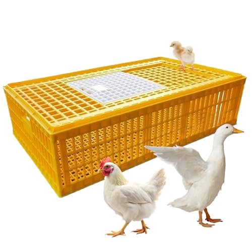 Robuster Transportkäfig für Hühner, Enten, Gänse und Vögel, aus Kunststoff, extra groß von Generisch