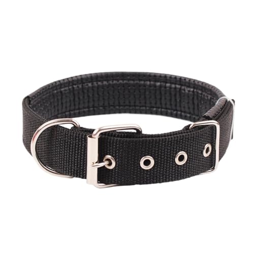 Robustes Hundehalsband, Nylon, Burgunderrot, Größe L von Generisch