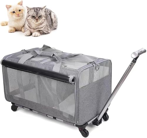 Rollende Katzentrage mit Rollen für 2 Katzen, Doppel-Katzentrage mit Rollen, Doppel-Fach, faltbare Haustier-Tragetasche für 2 kleine Katzen und Hunde, Reisen/Wandern/Camping, Grau Rollende Katzentrage mit Rollen für 2 Katzen, Doppel-Katzentrage mit Rollen, Doppel-Fach, faltbare Haustier-Tragetasche für 2 kleine Katzen und Hunde, Reisen/Wandern/Camping, Grau von Generisch