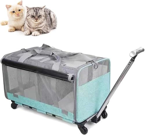 Rollende Katzentrage mit Rollen für 2 Katzen, Doppel-Katzentrage mit Rollen, Doppel-Fach, faltbare Haustier-Tragetasche für 2 kleine Katzen und Hunde, Reisen/Wandern/Camping, Grau Rollende Katzentrage mit Rollen für 2 Katzen, Doppel-Katzentrage mit Rollen, Doppel-Fach, faltbare Haustier-Tragetasche für 2 kleine Katzen und Hunde, Reisen/Wandern/Camping, Grau von Generisch