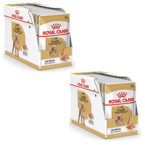Royal Canin Poodle Adult | Doppelpack | 2 x 12 x 85 g | Nassfutter für ausgewachsene Pudel | Zur Unterstützung des Fells | Optimale tägliche Ernährung | Ab dem 10. Lebensmonat von ROYAL CANIN