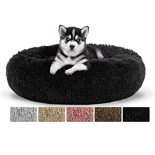 Rundes weiches Haustierbett für Katzen und kleine, mittelgroße Hunde, tragbares Kuschelnest mit rutschfester Silikonunterseite, Ø 80 cm, Schwarz Rundes weiches Haustierbett für Katzen und kleine, mittelgroße Hunde, tragbares Kuschelnest mit rutschfester Silikonunterseite, Ø 80 cm, Schwarz von Generisch