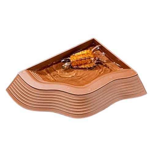 Schildkröte Badesale - Anti -Slip -Reptilien -Poolschale | Schildkröte Wasserschale Schildkröte Badegericht | Schildkröte Badepool | Schildkröte Wasserschale zum Baden auf dem Baden | Reptilien -Fütte von Generisch