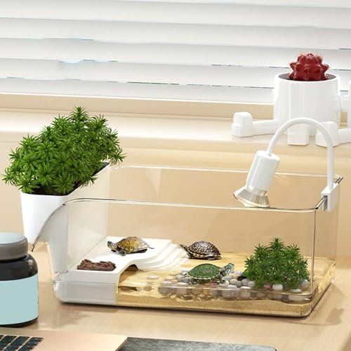 Generisch Schildkröten Aquarium, 32.7x19.3x12.2cm Transparentes Aquarium Aus Kunststoff Bfür Wasserschildkröten, Turtle Tank Mit Futter Und Sonnenplatz, Reptilien Tank Mit Schildkröten Plattform Generisch Schildkröten Aquarium, 32.7x19.3x12.2cm Transparentes Aquarium Aus Kunststoff Bfür Wasserschildkröten, Turtle Tank Mit Futter Und Sonnenplatz, Reptilien Tank Mit Schildkröten Plattform von Generisch
