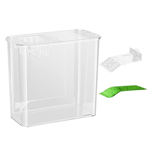 Schildkrötenaquarium, Becken für Schildkröten | Klarer Schildkrötenlebensraum | Schildkrötenbecken-Starter, Zierfischglas, Multifunktionsbereiche, kleines Aquarium, Aquarium-Starter Schildkrötenaquarium, Becken für Schildkröten | Klarer Schildkrötenlebensraum | Schildkrötenbecken-Starter, Zierfischglas, Multifunktionsbereiche, kleines Aquarium, Aquarium-Starter von Generisch