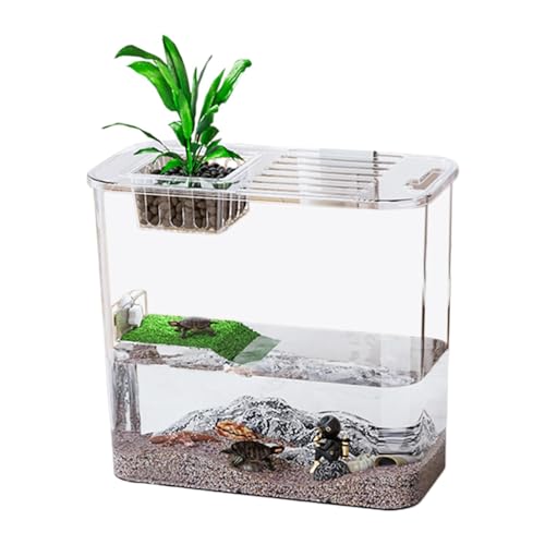 Schildkrötenaquarium | Kreatives Schildkröten- und Fischterrarium | Schildkrötenbecken mit Klettergerüst | Transparente Fischtanks zum Anheben von Wasser und Landschildkröte Schildkrötenaquarium | Kreatives Schildkröten- und Fischterrarium | Schildkrötenbecken mit Klettergerüst | Transparente Fischtanks zum Anheben von Wasser und Landschildkröte von Generisch