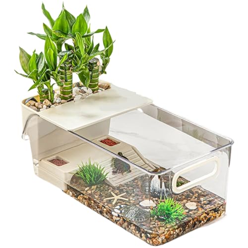 Schildkrötenbecken, Schildkröten Habitat, Klarer Lebensraum Zuchtbox mit Sonnenplatz für Amphibien Fische Kleintiere Reptilien Schildkrötenbecken, Schildkröten Habitat, Klarer Lebensraum Zuchtbox mit Sonnenplatz für Amphibien Fische Kleintiere Reptilien von Generisch