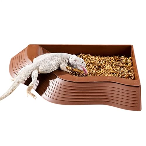 Schildkrötenfuttergericht, Reptilienwassergericht,Einzigartige Reptilienfuttergericht mit Rampe - Feeder-Tablett, Schildkrötenlebensraum, Tierfütterungsständer, Fütterungszubehör gegen Schlupf-Fütteru von Generisch