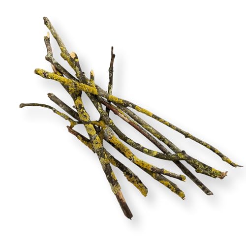 Schneckenfutter-Buffet Äste mit Flechten 400g 15-35cm gemischte Längen Kletterhilfen für Achatschnecken Landschnecken Asseln Terrarium Dekoration Einrichtung unbehandelt Schneckenfutter-Buffet Äste mit Flechten 400g 15-35cm gemischte Längen Kletterhilfen für Achatschnecken Landschnecken Asseln Terrarium Dekoration Einrichtung unbehandelt von Generisch