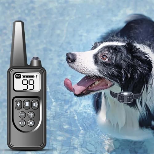Schwarzes Nylon Schleppleine für Hundeerziehung Übungsleine Hund Spazieren Tragbar Wasserdicht Hunde Training Leads for Dogs Hundeleine Trainingsleinen für Hundetraining Mit Light Schwarzes Nylon Schleppleine für Hundeerziehung Übungsleine Hund Spazieren Tragbar Wasserdicht Hunde Training Leads for Dogs Hundeleine Trainingsleinen für Hundetraining Mit Light von Generisch