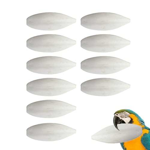 Sepiaschalen Für Schildkröten, Sittich-Tintenfisch, Vogel-Tintenfisch-Spielzeug, 10 Stück Vogel-Kalziumstein-Kauspielzeug, Cuttlebone Für Zähneknirschen, Unterhaltsam, Cuttle Bone-Vogelspielzeug von Generisch