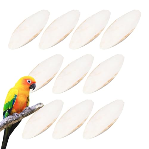 Sepiaschalen Für Schnecken, Sepiaschalen Für Schildkröten, Groß Sepiaschalen Für Vögel Reptilien Schildkröten Bartagamen Und Schnecken U Mineralversorgung Sepiaschalen Für Schnecken, Sepiaschalen Für Schildkröten, Groß Sepiaschalen Für Vögel Reptilien Schildkröten Bartagamen Und Schnecken U Mineralversorgung von Generisch
