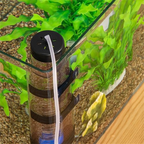 Shrimp Egg Hatchery – Aquarium Inkubator für Salzgarnelen, Fischtank Schlüpfwerkzeug | Artemia Zucht Kit, einfache Eierinkubation, effiziente Brutlösung für Süß- und Salzwassertanks von Generisch