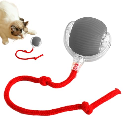 Smart Ball Cat Toy - Autonomous Playtime Orbiter, selbst geführte Bewegungskapsel, wiederaufladbare Haustier Fun Globe | Animationseinheit responsiver Animation, stimulieren in Innenräumen für Tierver von Generisch