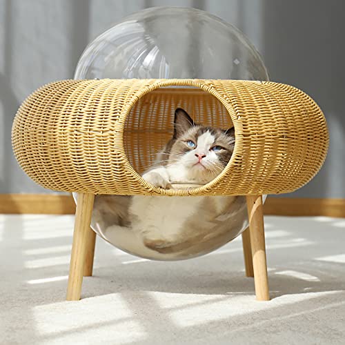 Spaceship Alpha Katzenhaus Weltraumkapsel - Langlebiges Rattan-Katzenbett, waschbares Haustierbett, modernes Design, niedlich & abnehmbar - Entworfen für Komfort und Stil Spaceship Alpha Katzenhaus Weltraumkapsel - Langlebiges Rattan-Katzenbett, waschbares Haustierbett, modernes Design, niedlich & abnehmbar - Entworfen für Komfort und Stil von Generisch