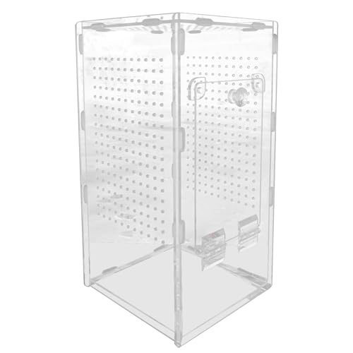 Spider Habitat, Acrylic Enclosure, Ventilated House 11.81inches, Breeding Observation Cage for Jumping Spider, Praying Mantis, Frog, Lizard, Gecko, Turtle, Keeping Use, + Clear Spider Habitat, Acrylic Enclosure, Ventilated House 11.81inches, Breeding Observation Cage for Jumping Spider, Praying Mantis, Frog, Lizard, Gecko, Turtle, Keeping Use, + Clear von Generisch