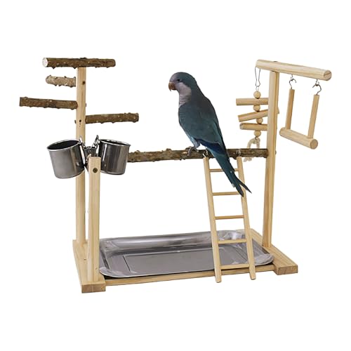 Spielplatz für Vögel, schwingende Kletterleiter mit Tablett und Tassen - Spielzeug für Vögel, Achimeter für Vögel, Turnhallenspiel für Vögel, Sittich Cockatiel von Generisch
