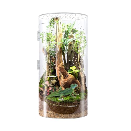 Spinnengehäuse Acryl - Wasserdichter Reptilien Tank | Terrarium für Tarantula, Spinnen, Beten Mantis, Arboreales Habitat, Vordertür, Reptilienkäfig für Zucht, Pflege, Pflanzenbehausung Spinnengehäuse Acryl - Wasserdichter Reptilien Tank | Terrarium für Tarantula, Spinnen, Beten Mantis, Arboreales Habitat, Vordertür, Reptilienkäfig für Zucht, Pflege, Pflanzenbehausung von Generisch