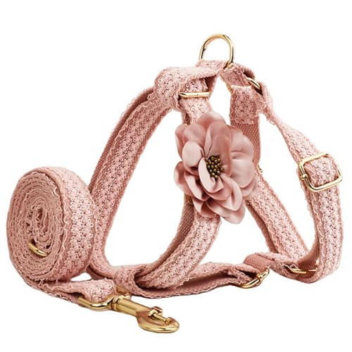 Spitzen-Hundegeschirr und Leine, verstellbares Blumen-Design für Spaziergänge und Training kleiner bis großer Hunde, bequemes und modisches Geschirr für Outdoor-Aktivitäten Spitzen-Hundegeschirr und Leine, verstellbares Blumen-Design für Spaziergänge und Training kleiner bis großer Hunde, bequemes und modisches Geschirr für Outdoor-Aktivitäten von Generisch