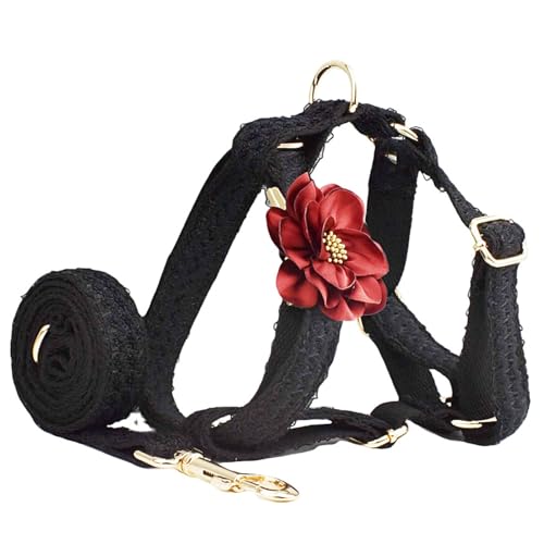 Spitzen-Hundegeschirr und Leine, verstellbares Blumen-Design für Spaziergänge und Training kleiner bis großer Hunde, bequemes und modisches Geschirr für Outdoor-Aktivitäten von Generisch