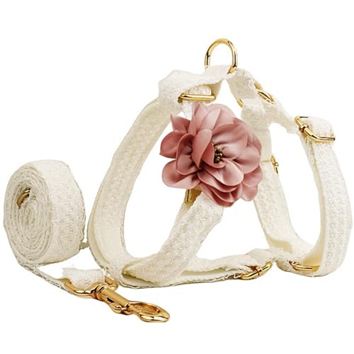 Spitzen-Hundegeschirr und Leine, verstellbares Blumen-Design für Spaziergänge und Training kleiner bis großer Hunde, bequemes und modisches Geschirr für Outdoor-Aktivitäten von Generisch