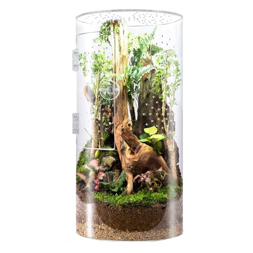 Springende Spinne Habitat – Transparenter Acryl-Terrarium-Käfig, wasserdichter Tank | Frontöffnung für Vogelspinnen, Frösche, Beteranter, Schnecken, Anfänger, Haustiergehäuse für drinnen und Springende Spinne Habitat – Transparenter Acryl-Terrarium-Käfig, wasserdichter Tank | Frontöffnung für Vogelspinnen, Frösche, Beteranter, Schnecken, Anfänger, Haustiergehäuse für drinnen und von Generisch