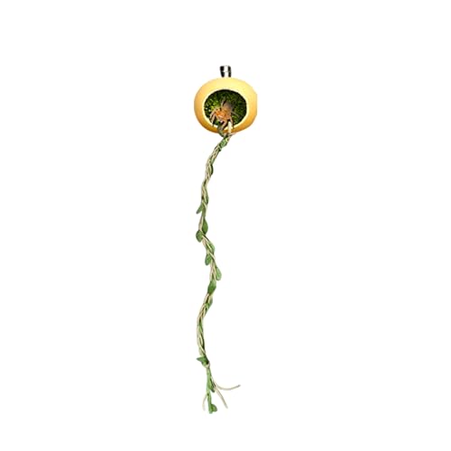 Springspinnengehege - Magnetische Versteckhöhle für springende Spinnen - Versteck Haus Zubehör für Arthropoden Tausendfüßler Geckos Schopfgeckos kleine Reptilien Springspinnengehege - Magnetische Versteckhöhle für springende Spinnen - Versteck Haus Zubehör für Arthropoden Tausendfüßler Geckos Schopfgeckos kleine Reptilien von Generisch