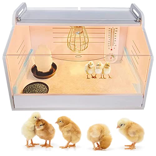 Starter Kit Hühnerbrutkasten mit belüftetem Grill und Wärmelampe für Küken, Wachteln, Entenküken - ideal für sicheres und warmes Brüten von Generisch