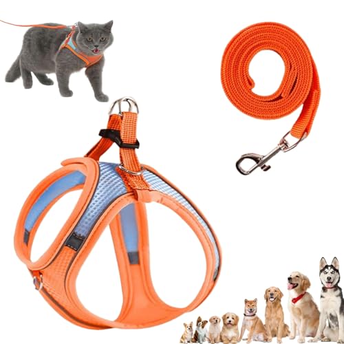 Stimuli Cat Harness Design for Outdoor Cats, Escape Proof Lightweight Adjustable Soft Mesh Vest with Reflective Safety Strips, Breathable No Pull for Kittens to Adult Cats (Orange,XS (for 3-4.5kg)) von Generisch