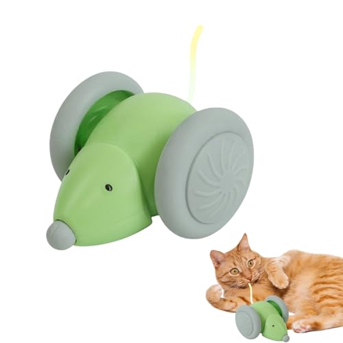 Stimulierendes Katzenspielzeug – Interaktives elektronisches Mäuse-Spielzeug für Katzen und Kätzchen, intelligentes Touch-aktiviertes Haustierzubehör für Indoor-Spiele, Bewegung, Teasing & Langeweile von Generisch