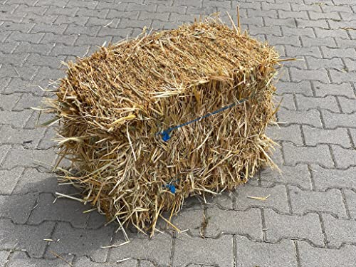 Generisch Strohballen Stroh Haferstroh Miniballen Deko & Eintreu für Kleintiere (ca. 12kg) von Generisch