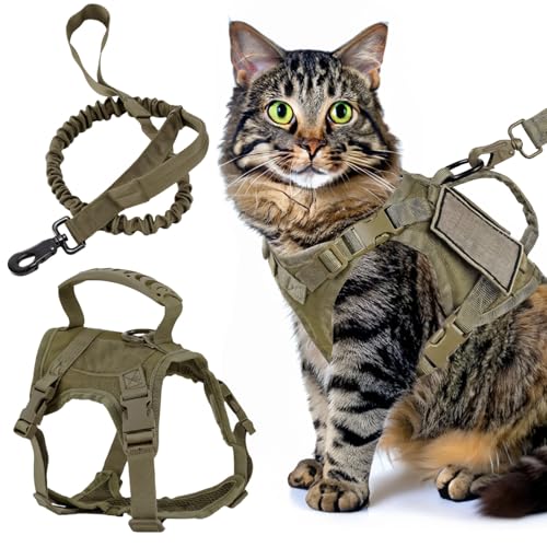 Taktisches Katzengeschirr und Leine, Set mit verstellbaren Trägern, weicher Netzpolsterung, Kontrollgriff, Grün von Generisch