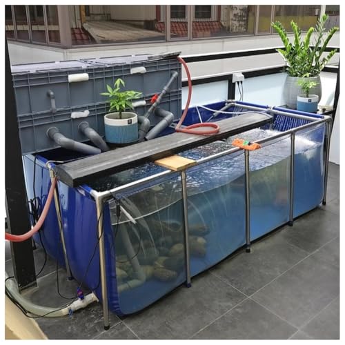 Temporäres Aquarium mit klarem Sichtfeld, strapazierfähiges Segeltuch, für Innen- und Außenbereich, Teich für Koi, Enten und Wasserpflanzen Temporäres Aquarium mit klarem Sichtfeld, strapazierfähiges Segeltuch, für Innen- und Außenbereich, Teich für Koi, Enten und Wasserpflanzen von Generisch