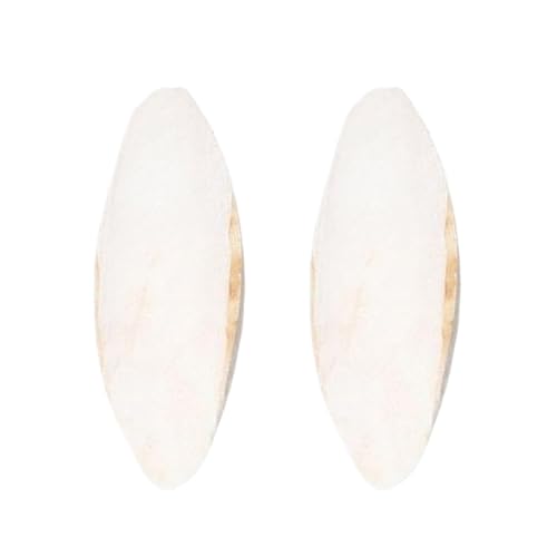 Tintenfischknochen – Sittich Cuttlebone – 15 cm Sittich, Schnabel-Schleifstein für Nymphensittiche, Kanarienvögel, , Reptilien, Haustierkäfigzubehör, Aquarium Tintenfischknochen – Sittich Cuttlebone – 15 cm Sittich, Schnabel-Schleifstein für Nymphensittiche, Kanarienvögel, , Reptilien, Haustierkäfigzubehör, Aquarium von Generisch