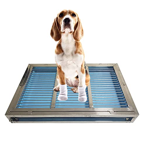 Tragbare Edelstahl-Hundetoilette – Töpfchentrainer für drinnen und draußen, leicht zu reinigende Haustier-Toilettenwanne für den Haushalt, langlebige Badezimmermatte (85 x 58 x 7,5 cm, 201 Kunststoff) Tragbare Edelstahl-Hundetoilette – Töpfchentrainer für drinnen und draußen, leicht zu reinigende Haustier-Toilettenwanne für den Haushalt, langlebige Badezimmermatte (85 x 58 x 7,5 cm, 201 Kunststoff) von Generisch
