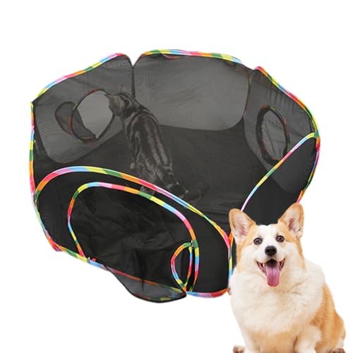 Tragbare Katzenzelte – Katzentunnel für kleine, mittelgroße Haustiere | Tragbares Freigehege für Indoor-Katzen | Zelt für Outdoor-Tiergehege | Haustier-Spielplatz-Zwinger für Tierübungen sicherer Spaß Tragbare Katzenzelte – Katzentunnel für kleine, mittelgroße Haustiere | Tragbares Freigehege für Indoor-Katzen | Zelt für Outdoor-Tiergehege | Haustier-Spielplatz-Zwinger für Tierübungen sicherer Spaß von Generisch
