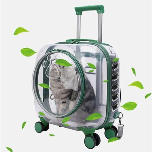 Tragbare Tragetasche für Haustiere im Freien, transparenter Rollkoffer für Hunde und Katzen, leichtes und geräumiges Design zum Wandern und Spazierengehen von Generisch