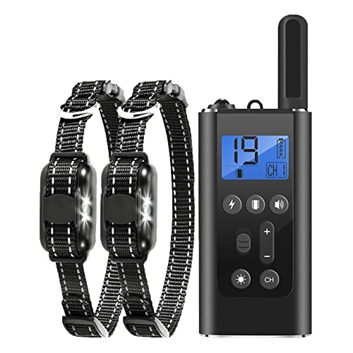 Training Hunde-Leitband für Trainingseinsätze,Liebe Haustiere Gute Sache, begleitet von der Ruhe des Geistes, Reisen die Ruhe des Geistes zu verlassen, täglicher Begleiter (q4) von Generisch