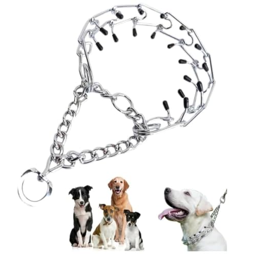 Trainingshundefolger, abnehmbares Hundehalsband aus Metall, Eisen, Stimulationshalsband, Haustierprodukte, Hundehalsband (Halsumfang: 34–46 cm) von Generisch