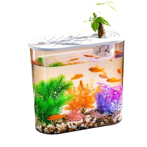 Transparente Mikro Landschaft Ökologische Fischs Child kröte Tank Hydro ponik Aquaponic Planter Zucht Box Aquarien Tisch Dekoration von Generisch