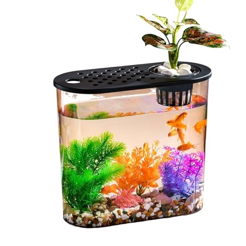 Transparente Mikro Landschaft Ökologische Fischs Child kröte Tank Hydro ponik Aquaponic Planter Zucht Box Aquarien Tisch Dekoration Transparente Mikro Landschaft Ökologische Fischs Child kröte Tank Hydro ponik Aquaponic Planter Zucht Box Aquarien Tisch Dekoration von Generisch