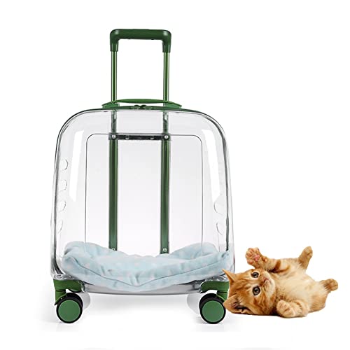 Transparente Tragetasche für Haustiere, mit harter Seite, tragbarer Rucksack mit großer Kapazität für Reisen und Wandern, langlebige Haustier-Reiselösung Transparente Tragetasche für Haustiere, mit harter Seite, tragbarer Rucksack mit großer Kapazität für Reisen und Wandern, langlebige Haustier-Reiselösung von Generisch