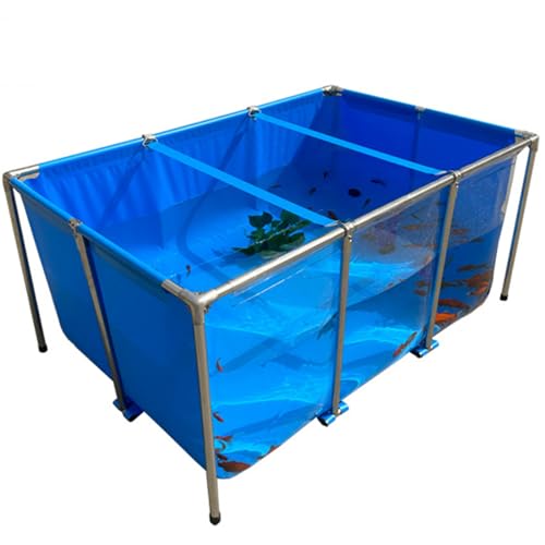 Transparenter freistehender Aquariumpool mit Ablassventil, ideal für die Fischzucht im Innenbereich und als sichtbares Schwimmbad von Generisch
