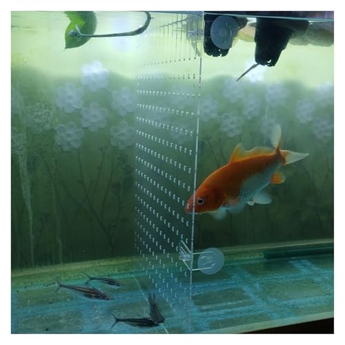 Transparentes Acryl-Fischtank-Trenner-Set mit Saugnäpfen, verstellbarer Aquarium-Trennwand zum Trennen von Babyfischen, unverzichtbares Aquarium-Zubehör von Generisch